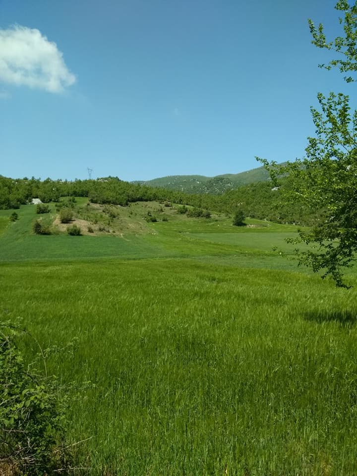 Andırın Çiçekli Köyü Resimleri 11