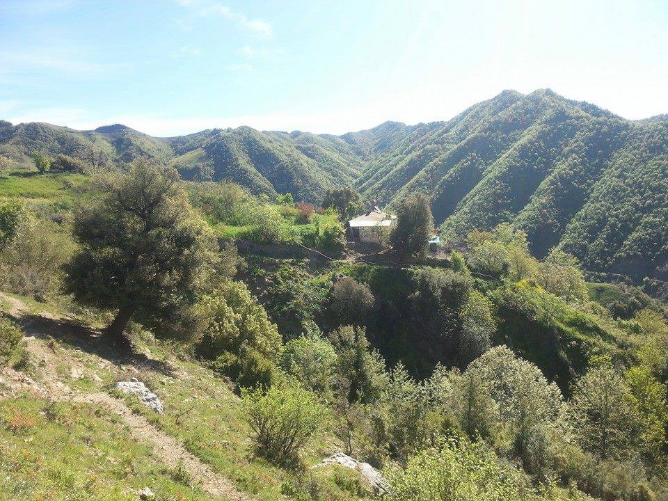 Andırın Çuhadarlı Köyü Resimleri 2