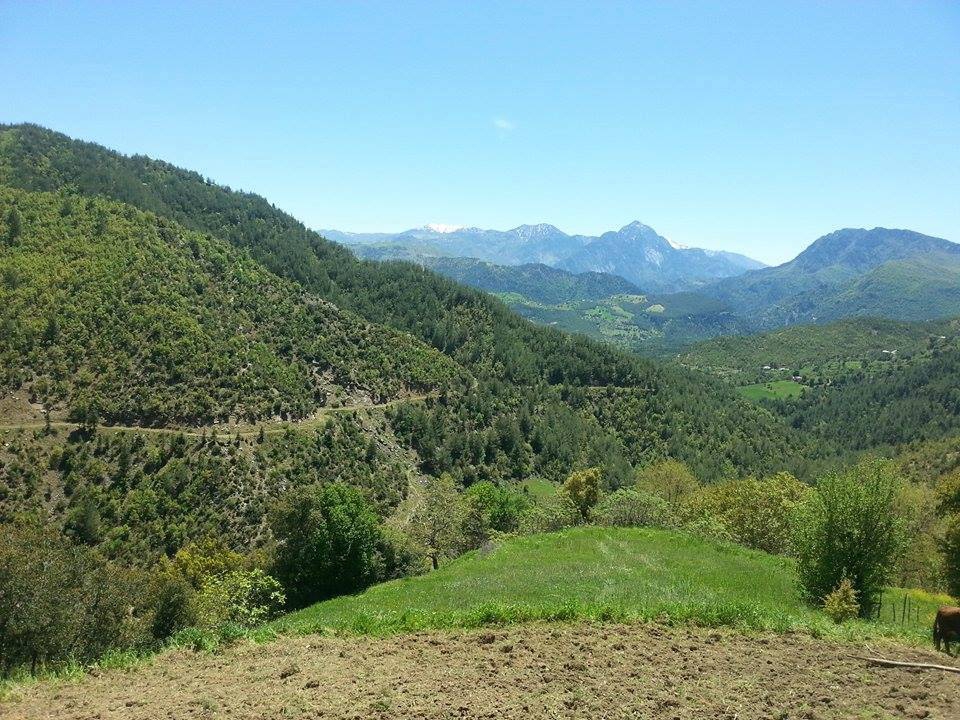 Andırın Çuhadarlı Köyü Resimleri 4