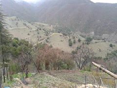 Andırın Çuhadarlı Köyü Resimleri 7