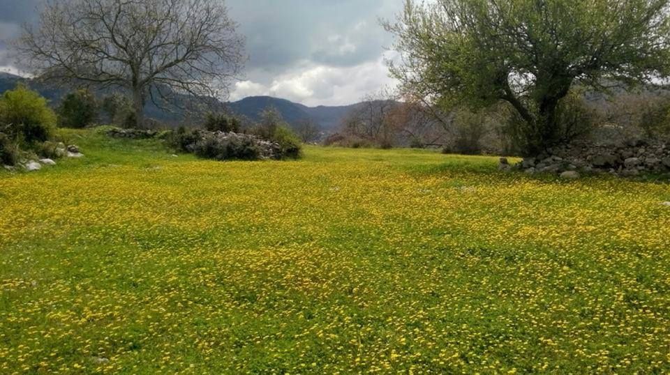 Andırın Efirağızlı Köyü Resimleri 7