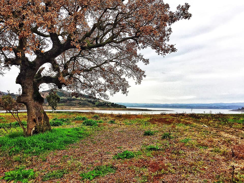 Andırın Erenler Köyü Resimleri 11