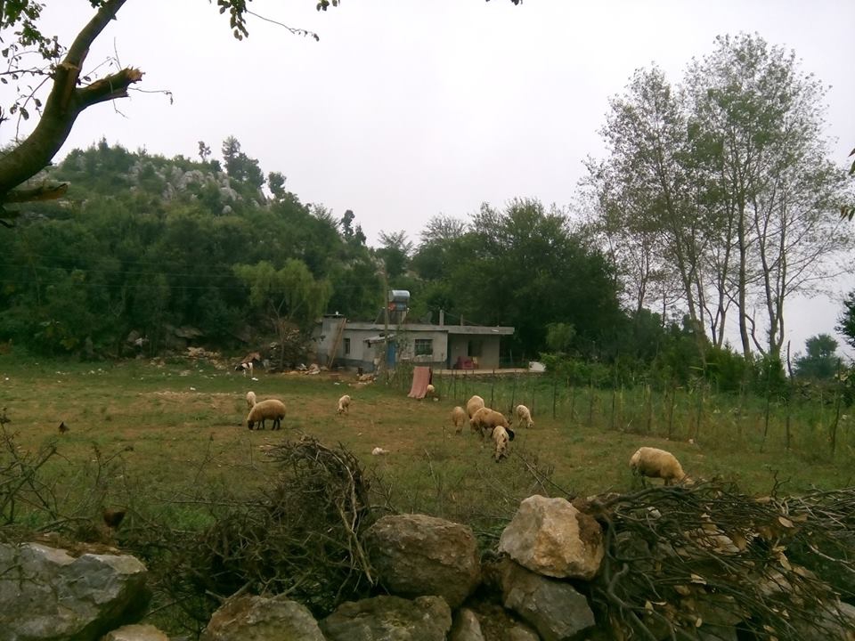 Andırın Gökçeli Köyü Resimleri 6