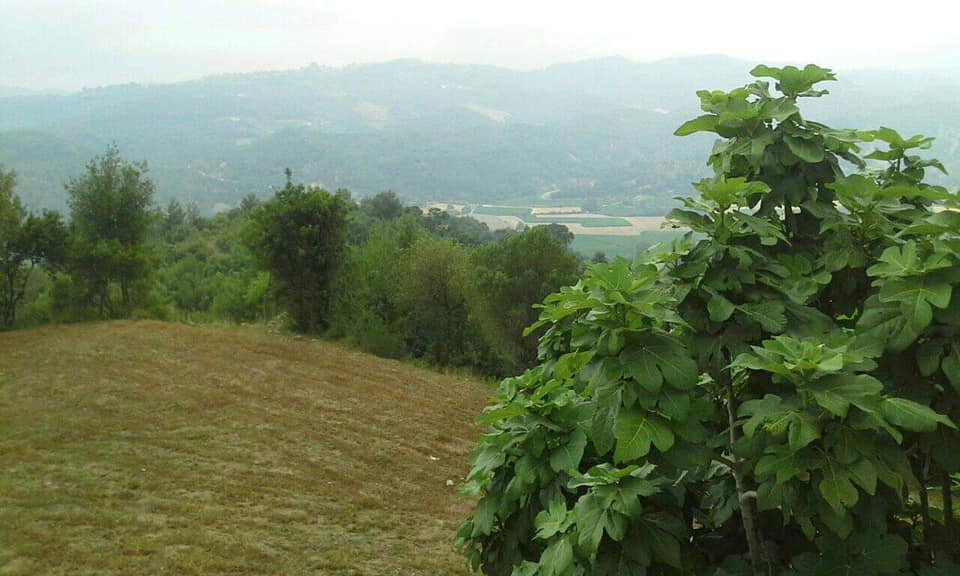 Andırın Kabaağaç Köyü Resimleri 4