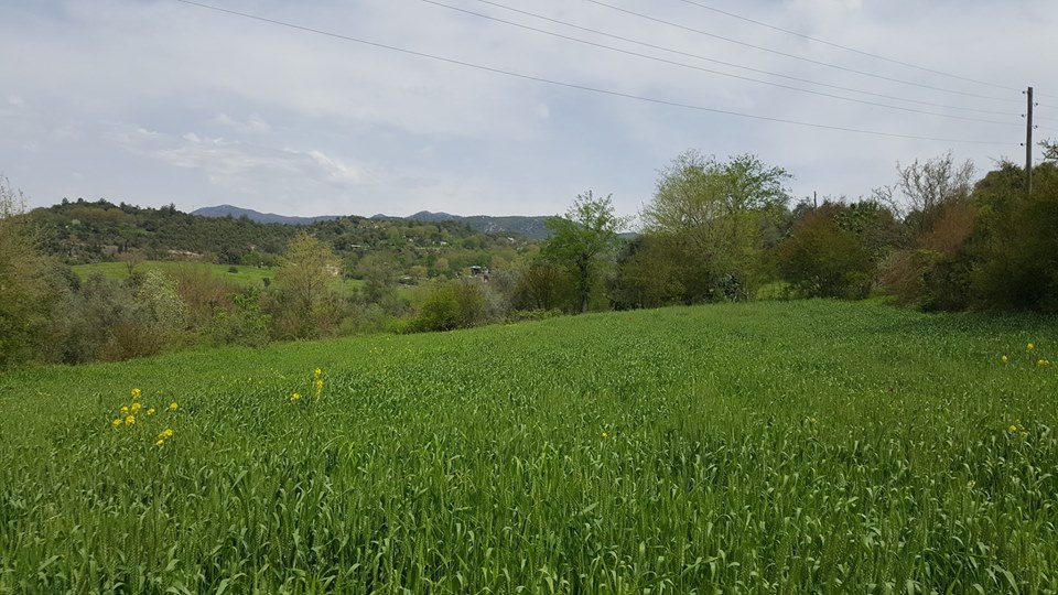 Andırın Kabaağaç Köyü Resimleri 5