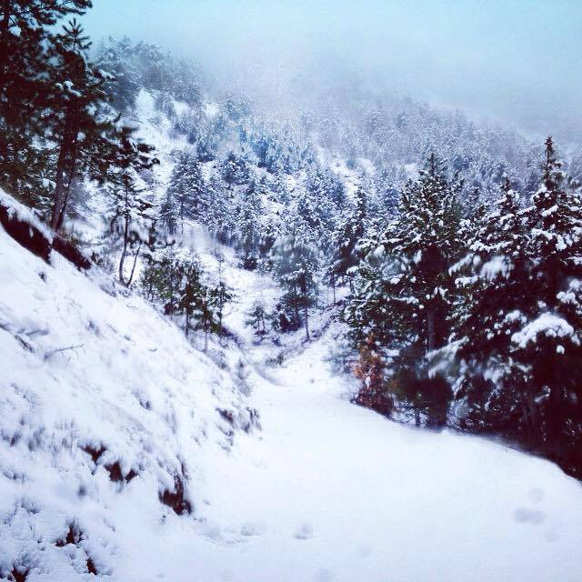 Andırın Kargaçayırı Köyü Resimleri 10