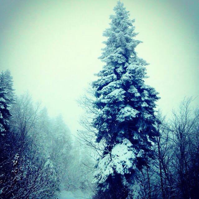 Andırın Kargaçayırı Köyü Resimleri 2