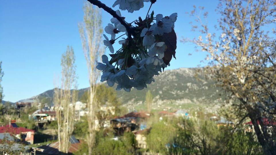 Andırın Kargaçayırı Köyü Resimleri 4