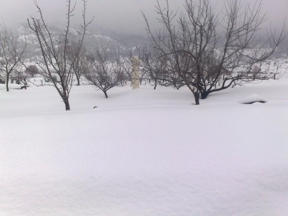 Andırın Kargaçayırı Köyü Resimleri 5