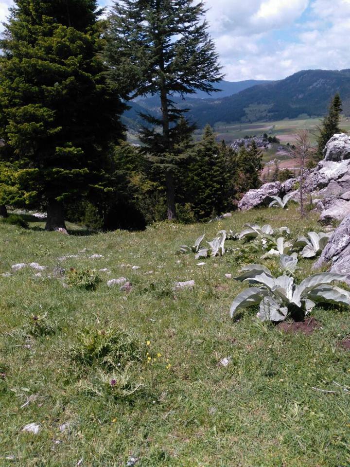 Andırın Kargaçayırı Köyü Resimleri 6