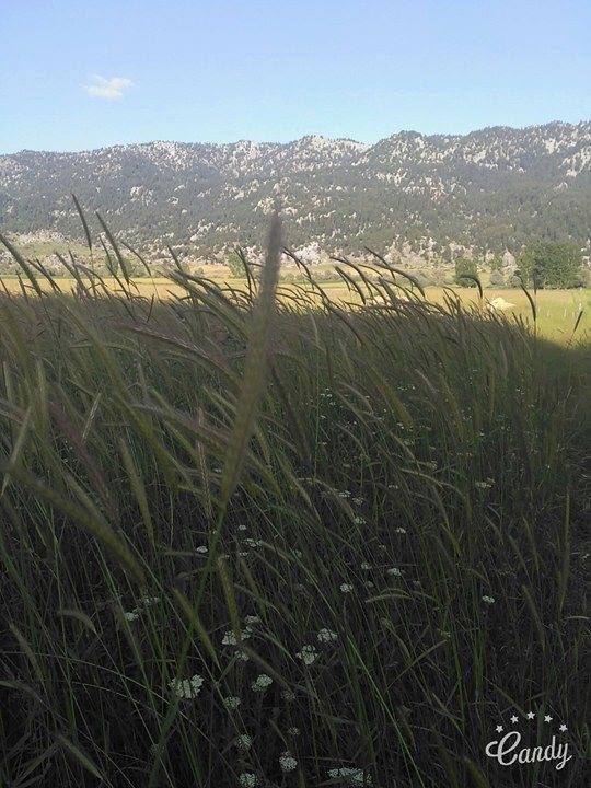 Andırın Kargaçayırı Köyü Resimleri 7