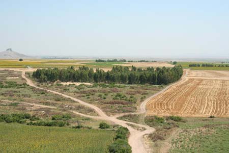 Adana Ceyhan Isırganlı Köyü Resimleri 15