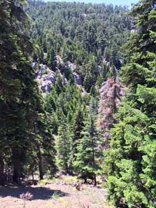 Adana Ceyhan Isırganlı Köyü Resimleri 2