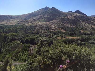 Adana Ceyhan Isırganlı Köyü Resimleri 7