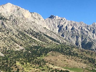 Adana Ceyhan Isırganlı Köyü Resimleri 8