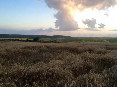 Adana Ceyhan Isırganlı Köyü Resimleri 9