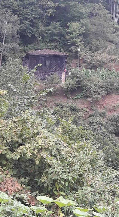 Sürmene Üzümlü  Köyü Resimleri 13