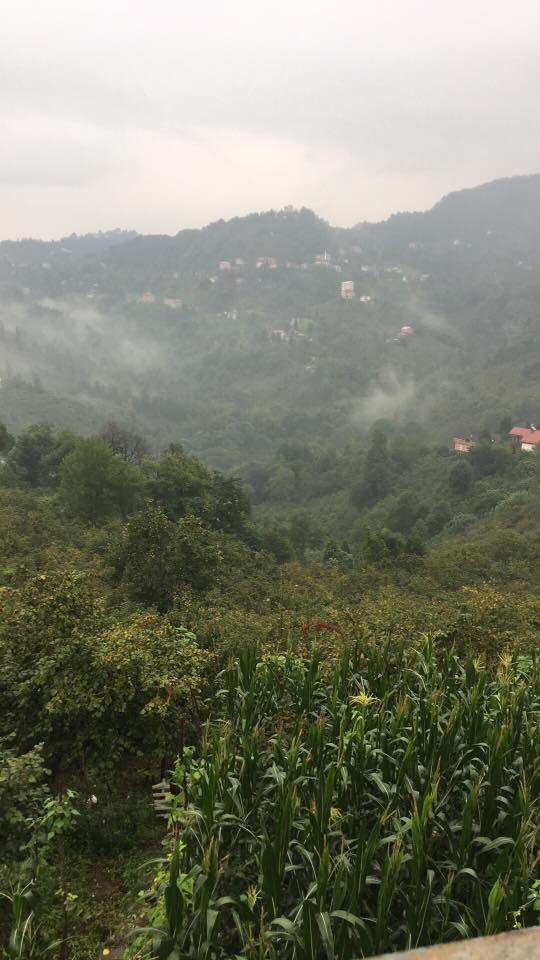 Sürmene Üzümlü  Köyü Resimleri 14