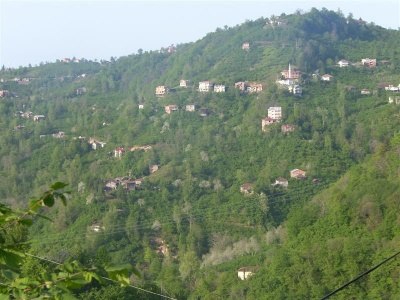 Sürmene Üzümlü  Köyü Resimleri 2