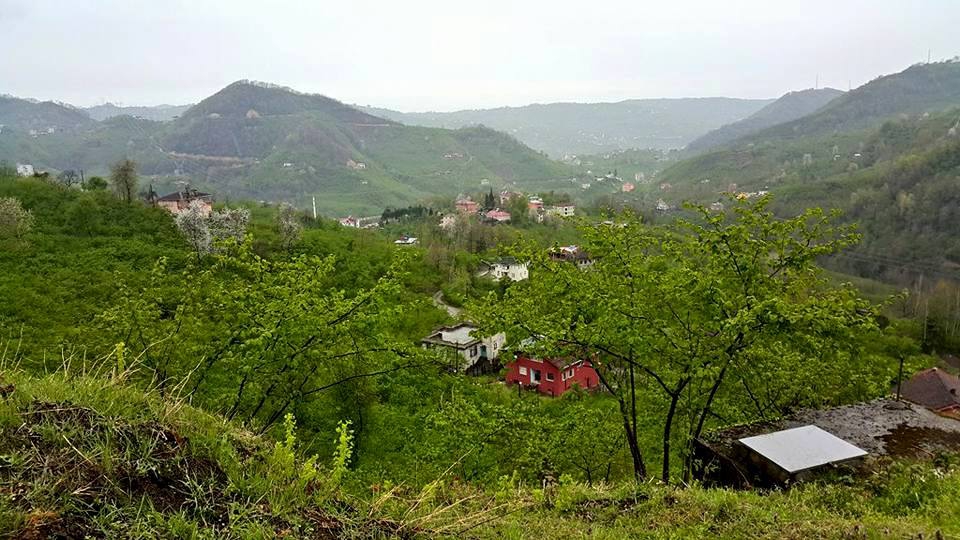 Sürmene Üzümlü  Köyü Resimleri 21