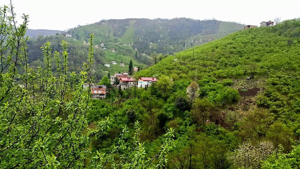 Sürmene Üzümlü  Köyü Resimleri 22