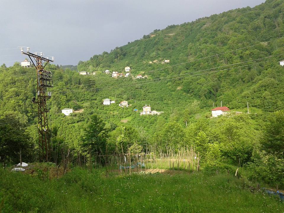 Sürmene Üzümlü  Köyü Resimleri 23