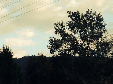 Sürmene Üzümlü  Köyü Resimleri 3