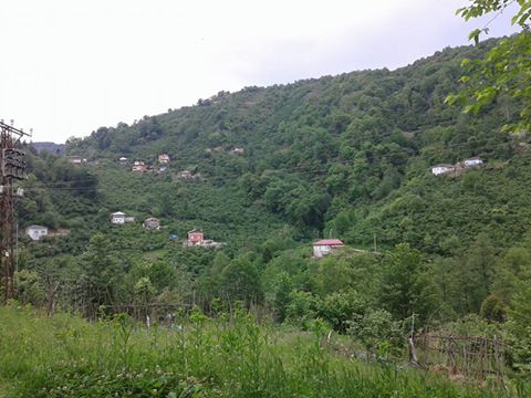 Sürmene Üzümlü  Köyü Resimleri 8