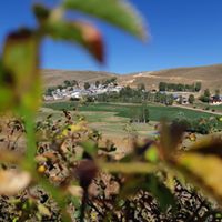 Demirözü Kavaklı Köyü Resimleri 12