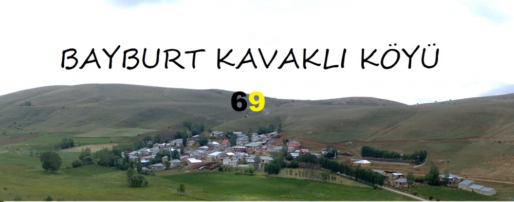 Demirözü Kavaklı Köyü Resimleri 6