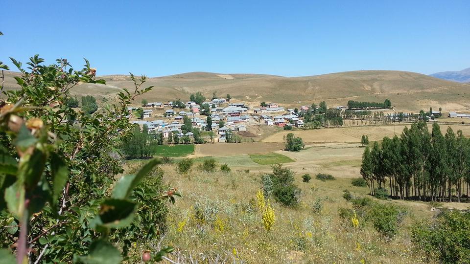 Demirözü Kavaklı Köyü Resimleri 8