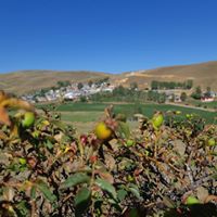 Demirözü Kavaklı Köyü Resimleri 9