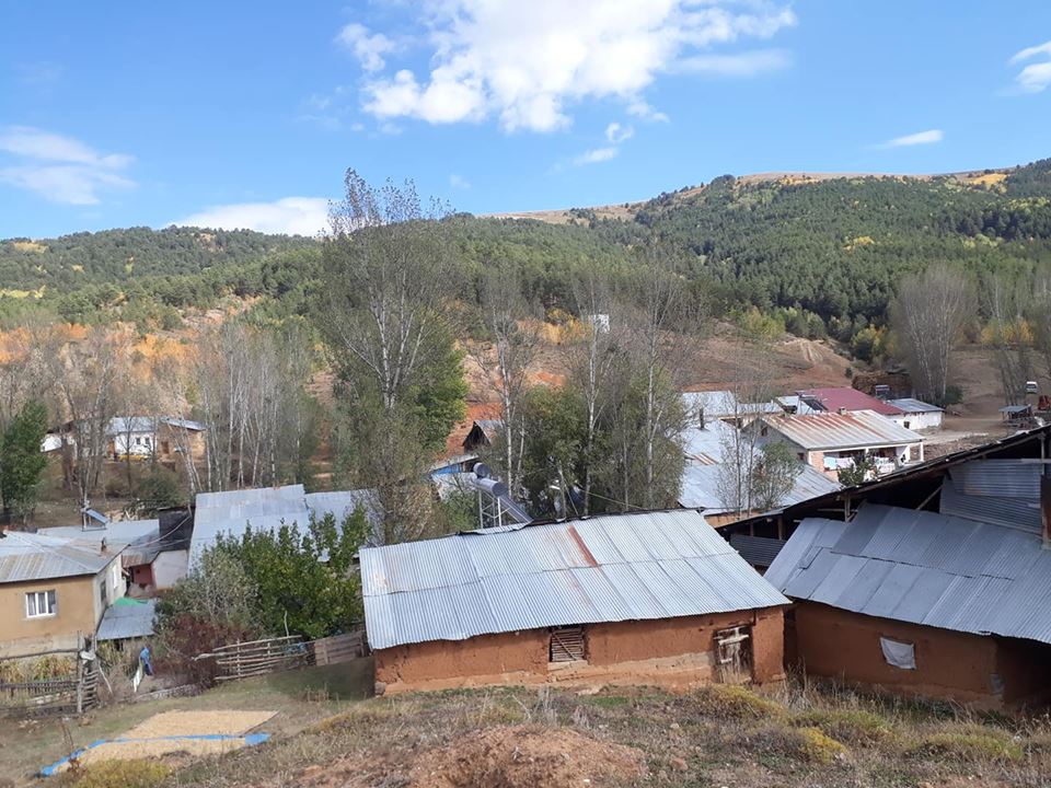 Demirözü Petekli Köyü Resimleri 4