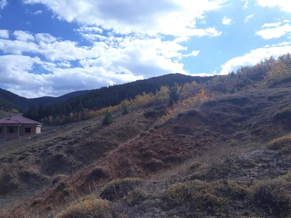 Demirözü Petekli Köyü Resimleri 5