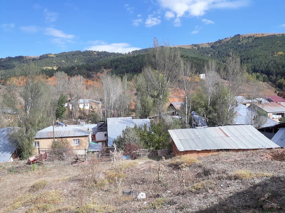 Demirözü Petekli Köyü Resimleri 8