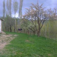 Demirözü Pınarcık Köyü Resimleri 1