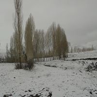 Demirözü Pınarcık Köyü Resimleri 10