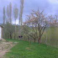 Demirözü Pınarcık Köyü Resimleri 7