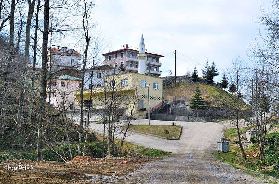 Sürmene Yukarıçavuşlu Köyü Resimleri 13