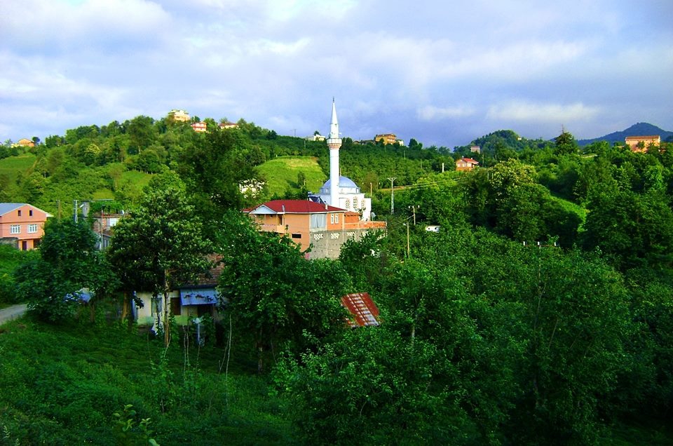 Sürmene Yukarıçavuşlu Köyü Resimleri 14
