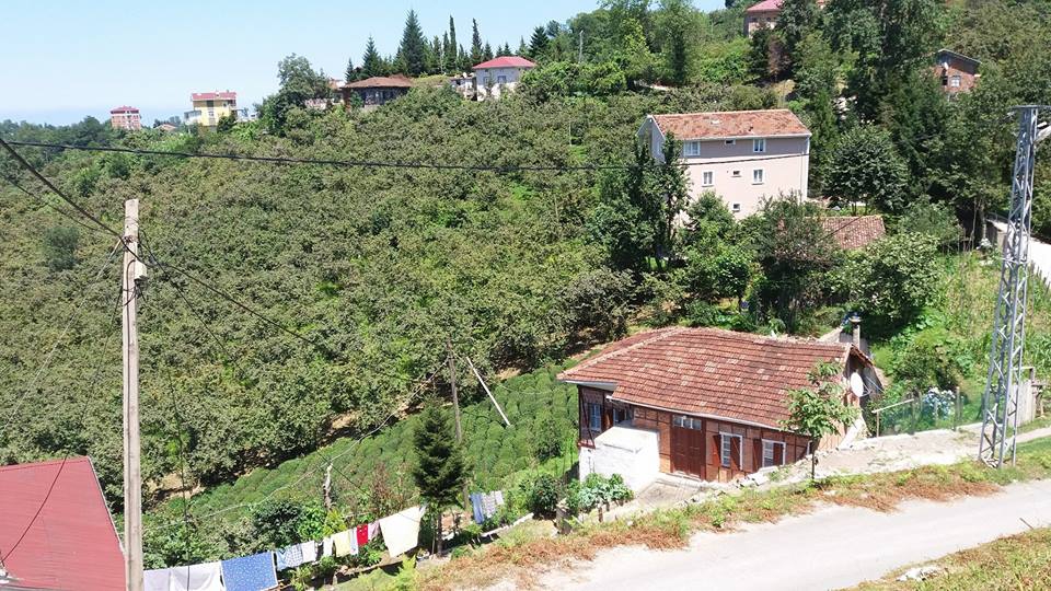 Sürmene Yukarıçavuşlu Köyü Resimleri 15