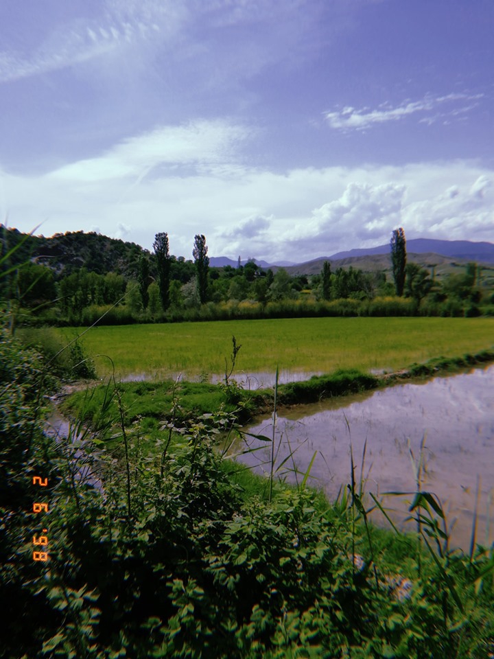 Tosya Aşağıdikmen Köyü Resimleri 11