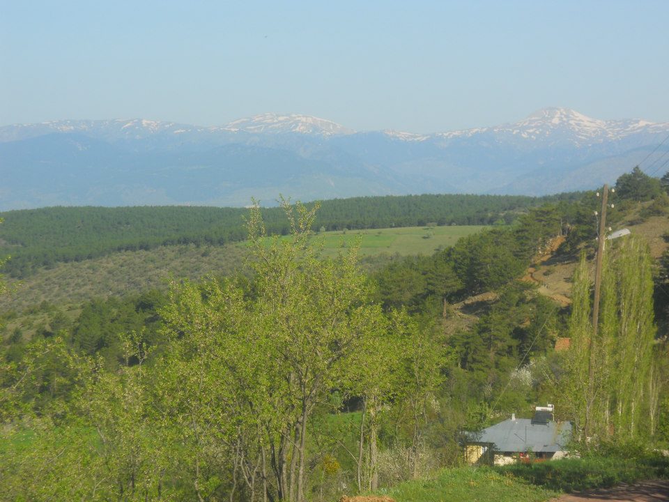 Tosya Çakırlar Köyü Resimleri 11