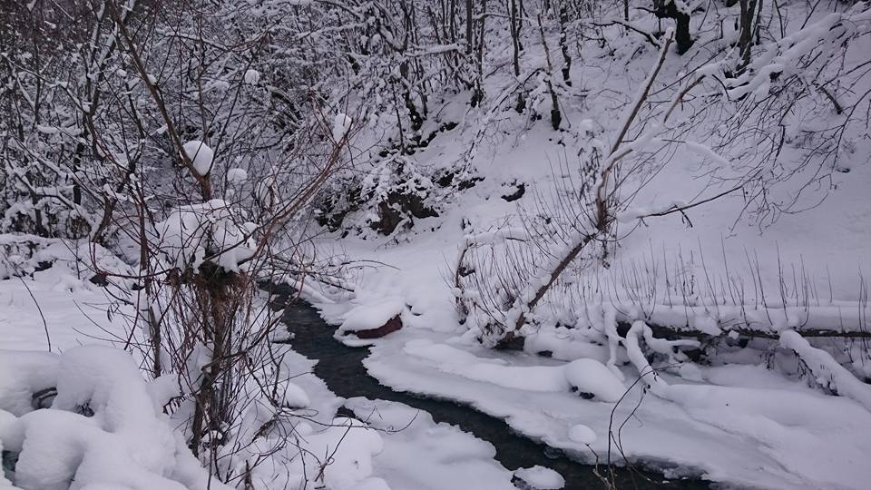 Tosya Çakırlar Köyü Resimleri 3