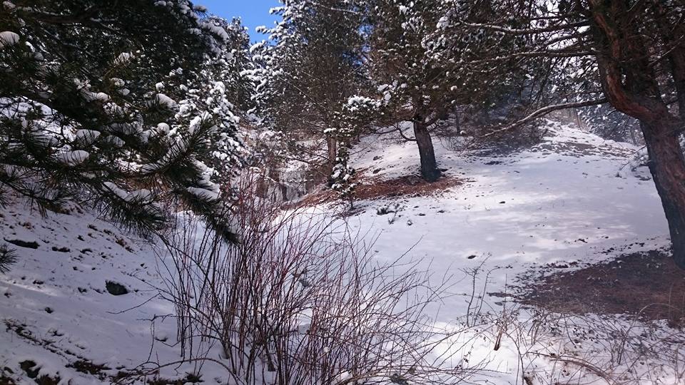 Tosya Çakırlar Köyü Resimleri 5