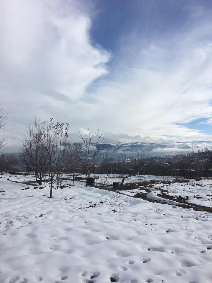 Tosya Çakırlar Köyü Resimleri 6