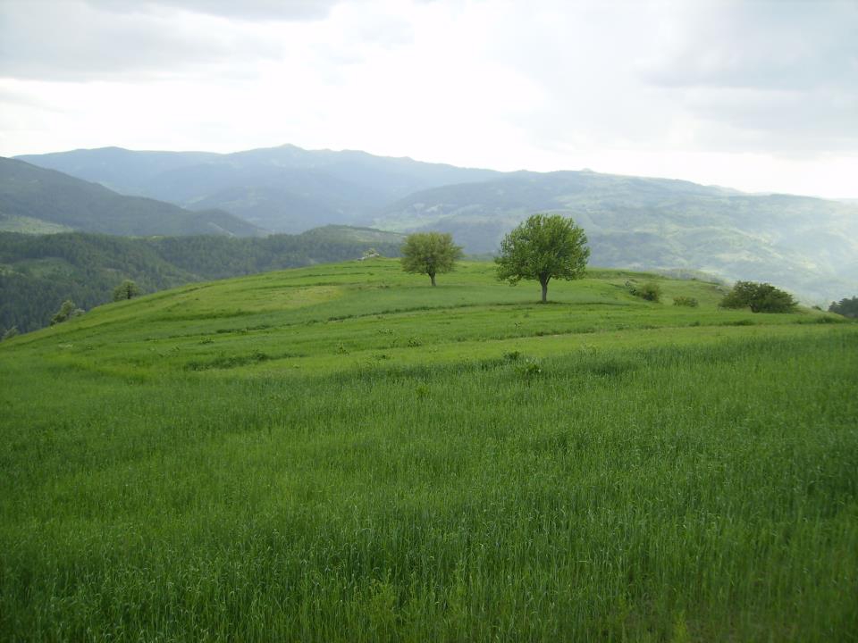Tosya Çakırlar Köyü Resimleri 7