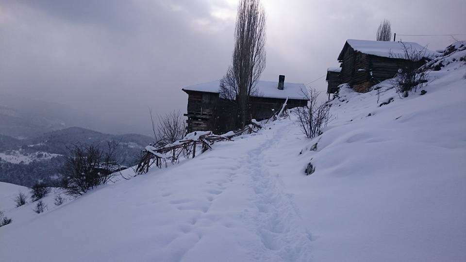 Tosya Çakırlar Köyü Resimleri 8