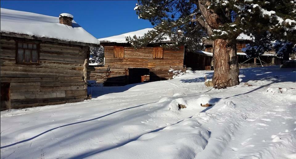 Tosya Çakırlar Köyü Resimleri 9