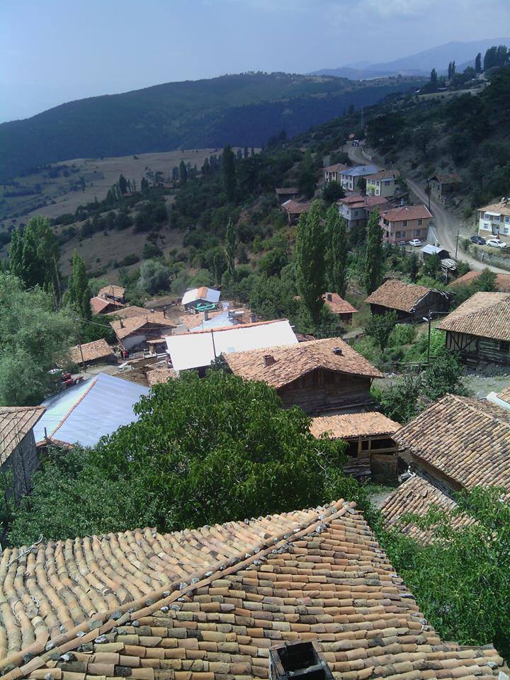 Tosya Çeltikçi Köyü Resimleri 10